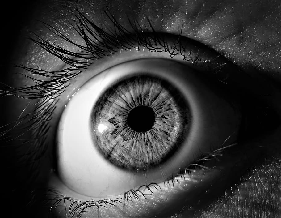 mata, iris, pupil, penglihatan, bola mata, bulu mata, pandangan, mata manusia, bagian tubuh manusia, persepsi sensorik