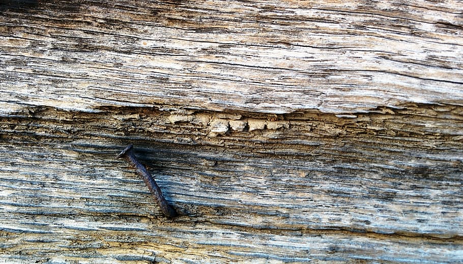 nail, stuck, wood, rusty, wooden, timber, construction, plank, carpentry, board