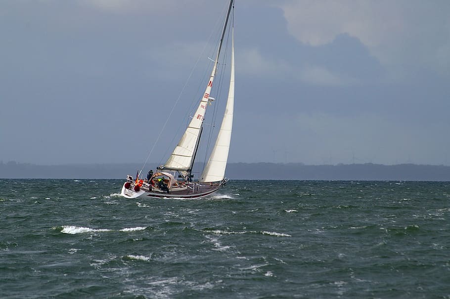 white, brown, kayak, body, water, sailing vessel, sail, ship, sea, water sports