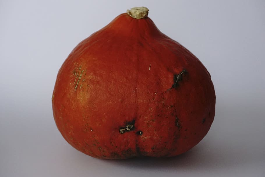 pumpkin, vegetables, autumn motive, autumn decoration, food and drink, food, healthy eating, wellbeing, single object, fruit