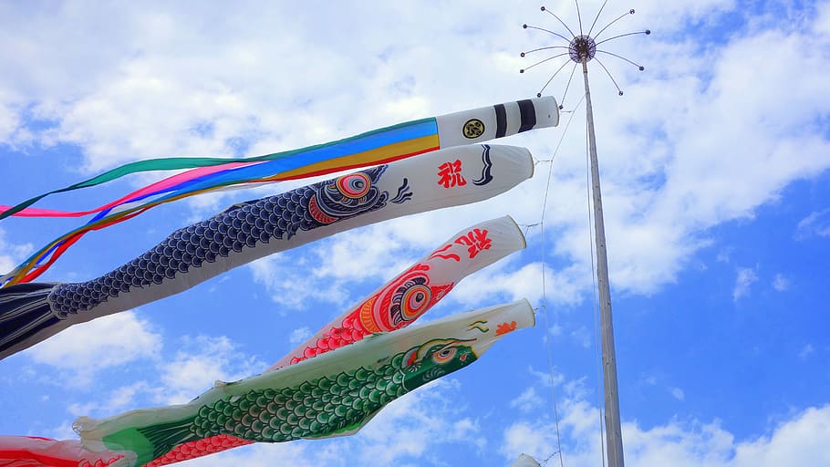 four, assorted-color fish kites, hanging, pole, Carp, Streamer, Japan, Blue Sky, Cloud, carp streamer