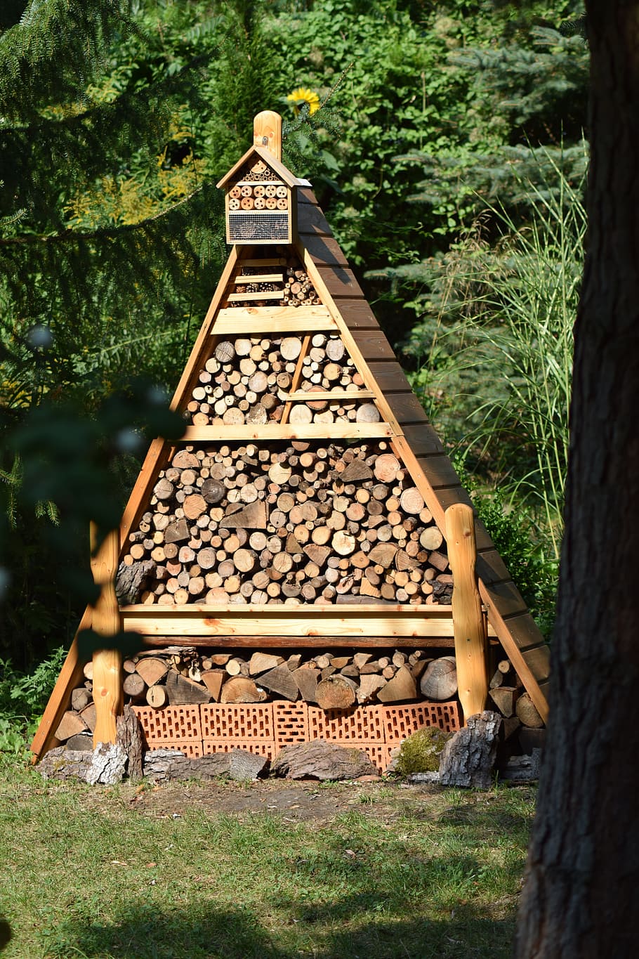 Garden, Insect Hotel, Nature, nature conservation, beehive, day, outdoors, tree, bee, plant