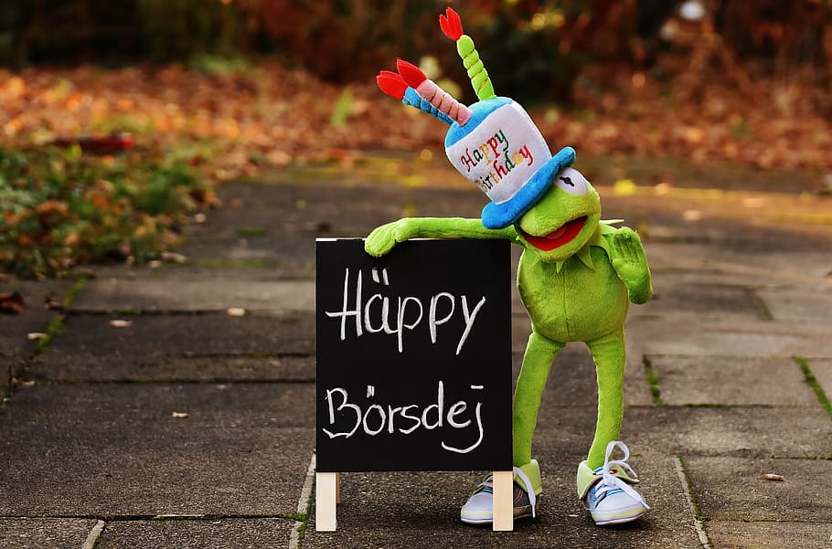 kermit, frog, holding, signboard, birthday, congratulations, greeting card, joy, luck, happy