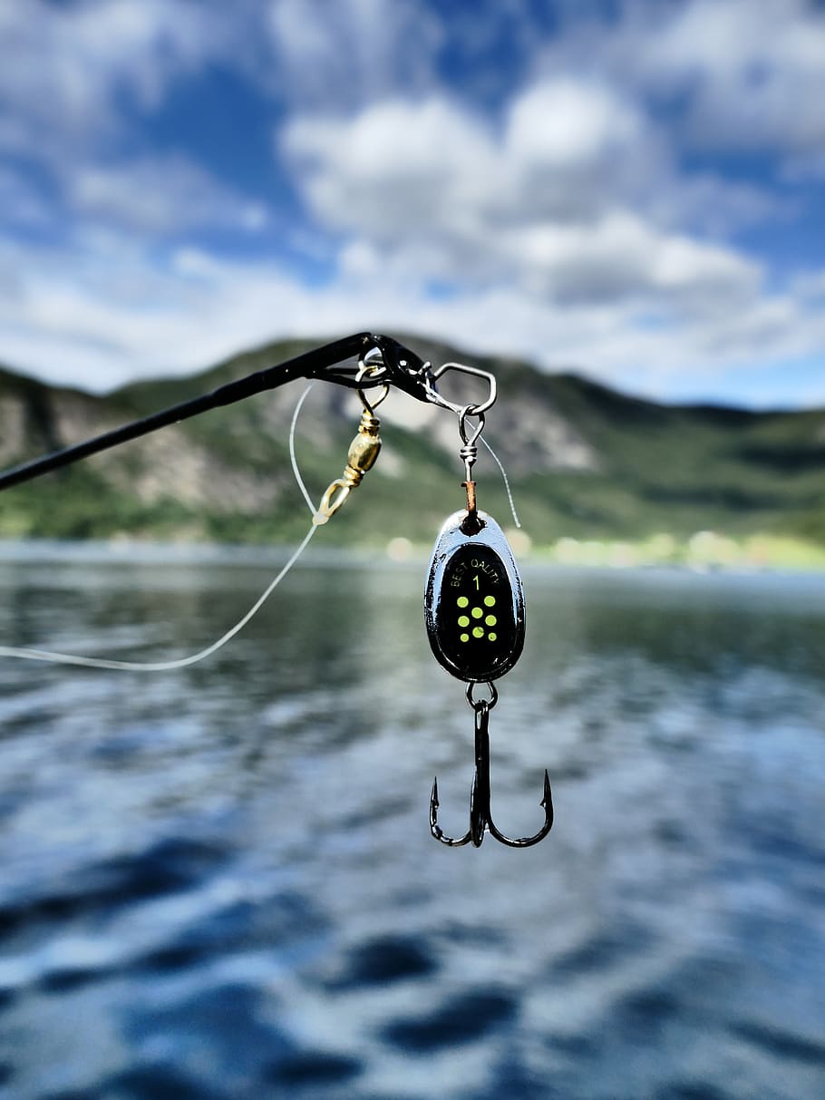 fish, hook, bait, norway, water, fjord, angel tendon, cord, attitude to life, enjoy