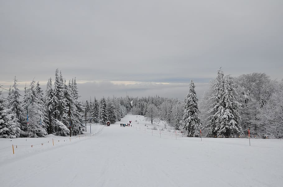 山 冬 雪 風景 白 ポーランド 寒さ 静かな情景 天気 自然 Pxfuel