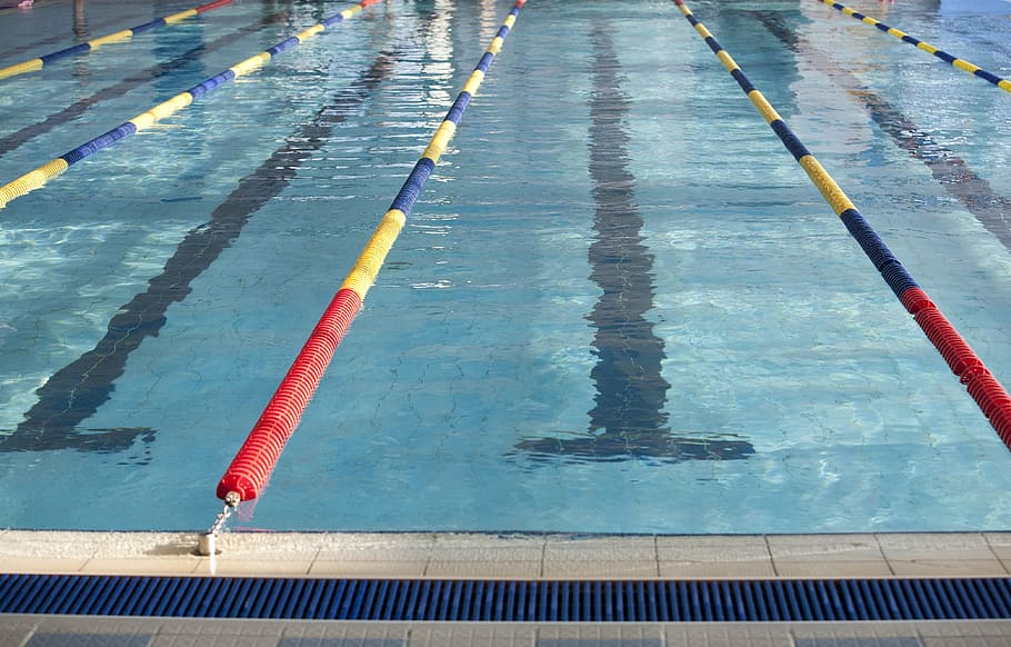swimming, exercise, pool, swimming Lane Marker, water, swimming pool, day, reflection, high angle view, nature