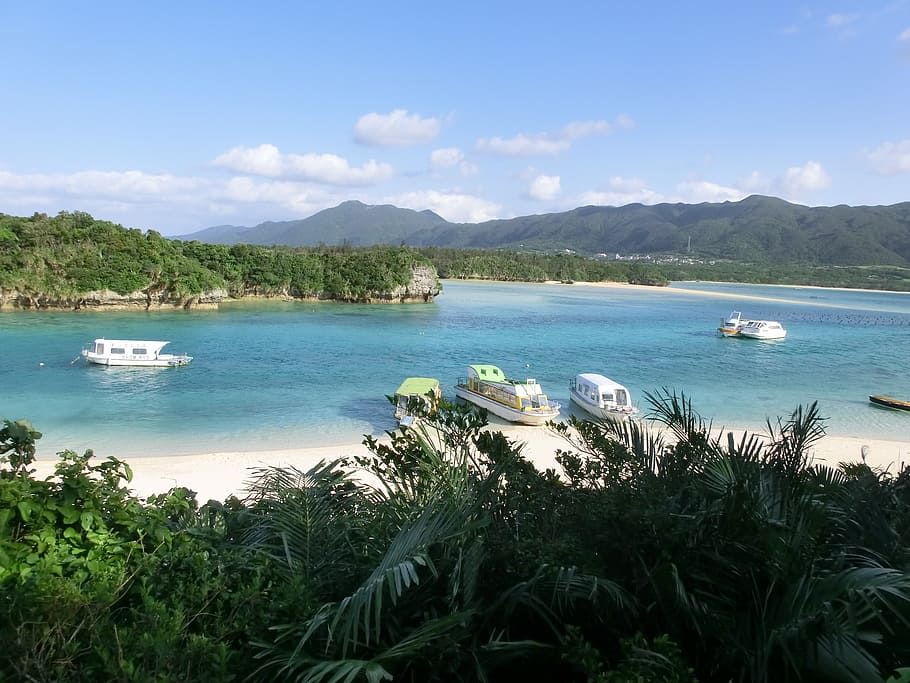 body, water, daytime, okinawa, ishigaki island, sea, beach, resort, comfort, friendly