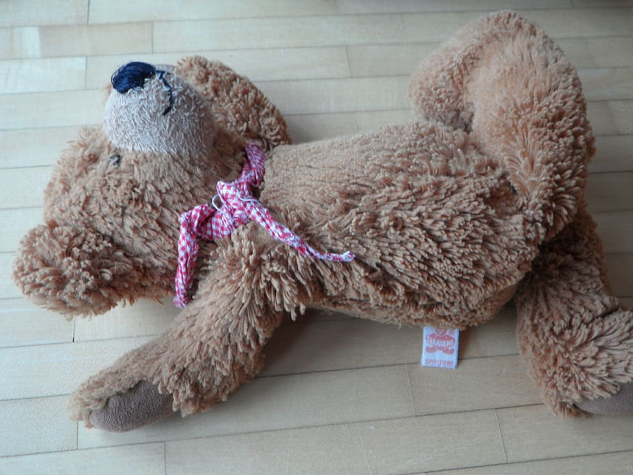 teddy, careless, thrown away, leave, lonely, sad, concerns, lost, teddy bear, child