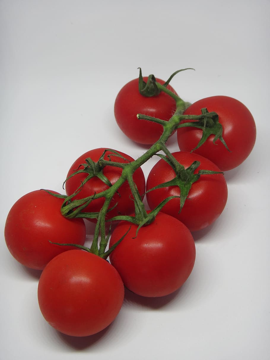 Tomato, Vegetables, Food, Healthy, red, vegetarian, frisch, tomato plant, shrub, tomatoes