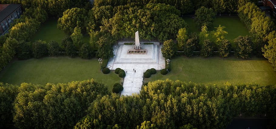 shanghai jiao tong university, jiaotong university, aerial, monument, plant, tree, water, growth, green color, beauty in nature