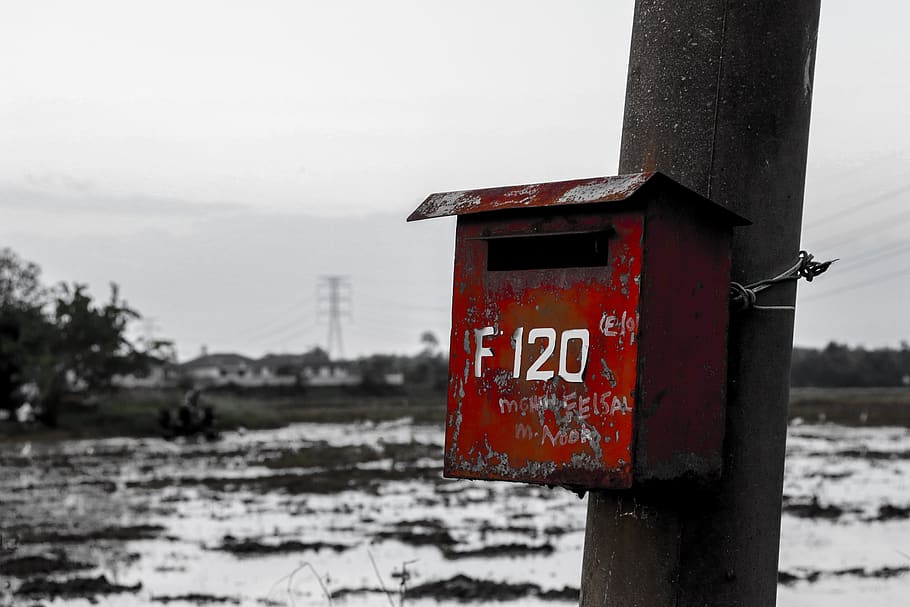 box, mail, delivery, package, mailbox, postage, postbox, red, nature, focus on foreground