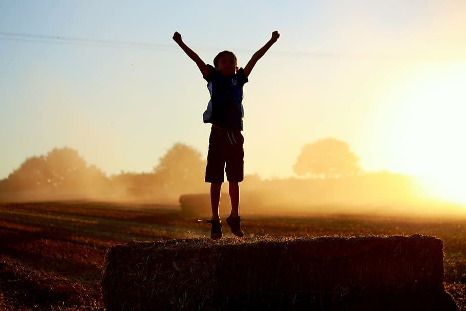 silhouette, jumping, boy, green, field, harvest, joy, cereals, nature, agriculture