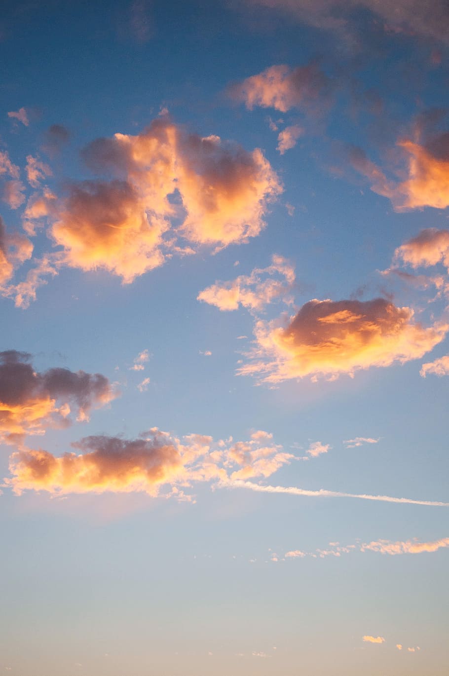 自然 空 雲 ジェット トレイル グラデーション 青 ピンク 雲 空 自然の美しさ Pxfuel