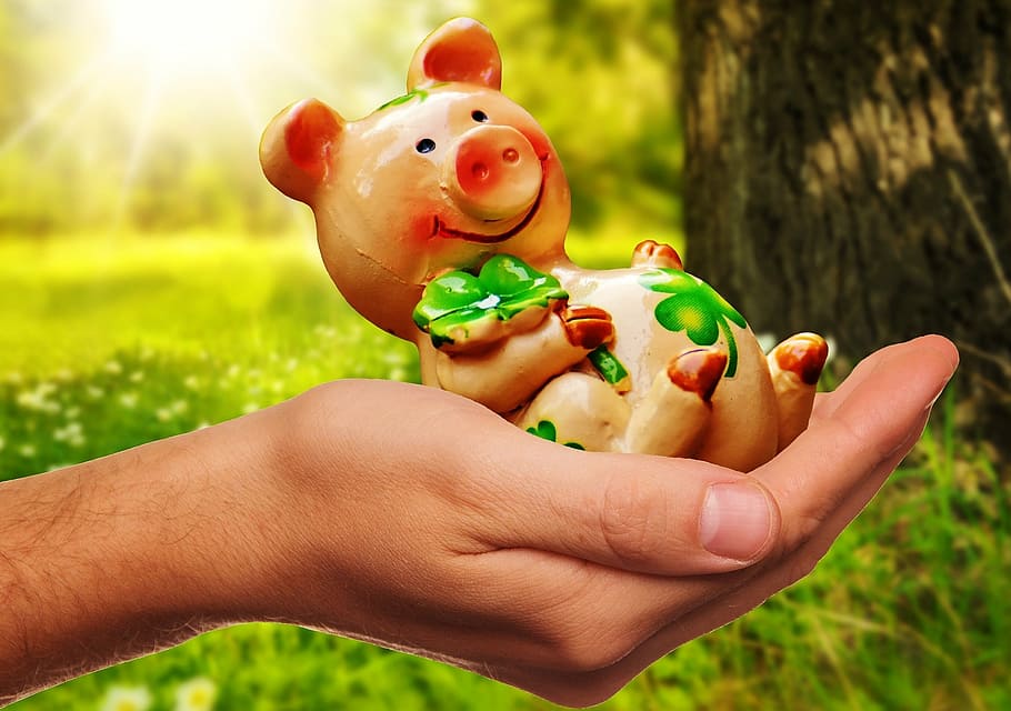 person, holding, brown, fig figurine, good luck, handful happiness, piglet, lucky pig, congratulations, figure