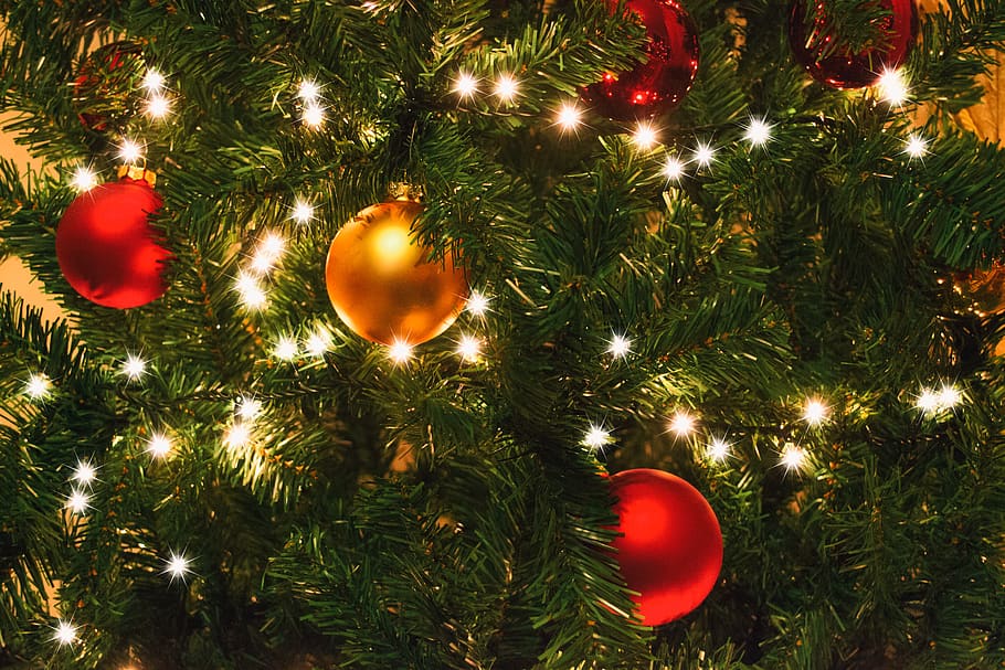 christmas, christmas lights, tree, baubles, color, decoration, green, red, seasonal, festive