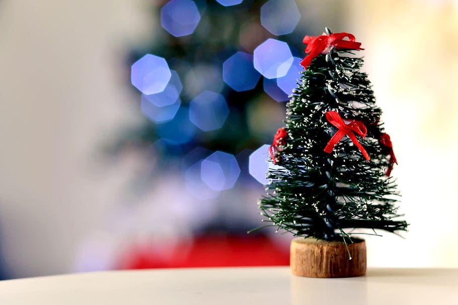 natal, árvore de natal, bokeh, macro, celebração, feriado, decoração, decoração de natal, árvore, close-up