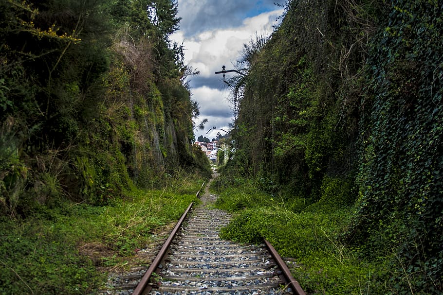 train tracks, invaded, train, railway, rails, galicia, plant, tree, direction, the way forward