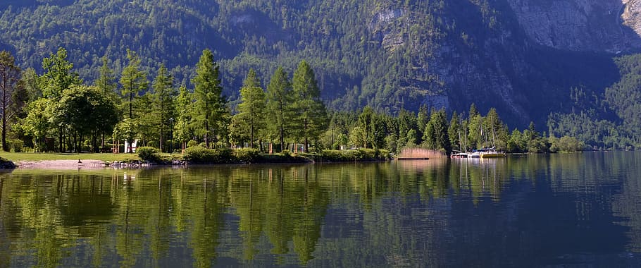 landscape photography, green, leaf trees, body, water, daytime, austria, hallstatt, water surface, lake