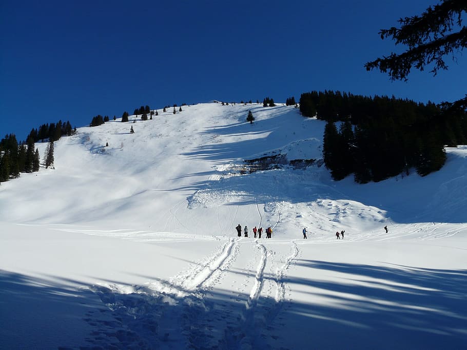 Backcountry, inverno, caminhada, esqui de montanha, caminhada de inverno, frio, corrida, ascensão, montanhas, esqui