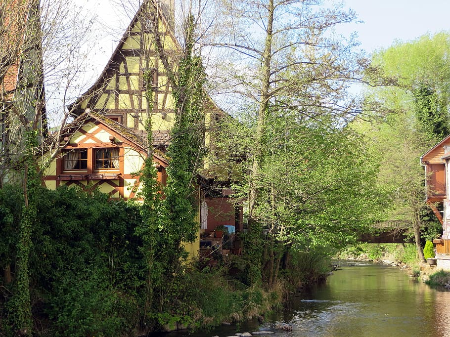 Alsace, Sélestat, Timbered, House, timbered house, village, river, heritage, house facade, tree