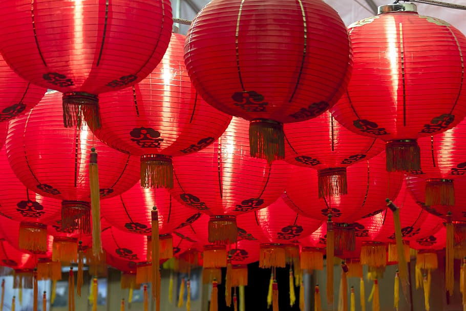 red chinese lanterns, chinese lanterns, celebrate, lantern, chinese Culture, chinese New Year, chinese Lantern, china - East Asia, decoration, asia
