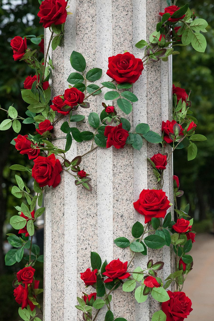 vermelho, rosas, ao redor, branco, concreto, pilar, rosa, flores, jardim de rosas, natureza