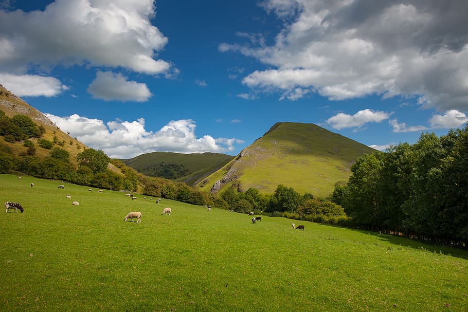 nube de thorpe, dovedale, naturaleza, panorámica, paisaje, hierba, al aire libre, Cielo, nube - cielo, planta