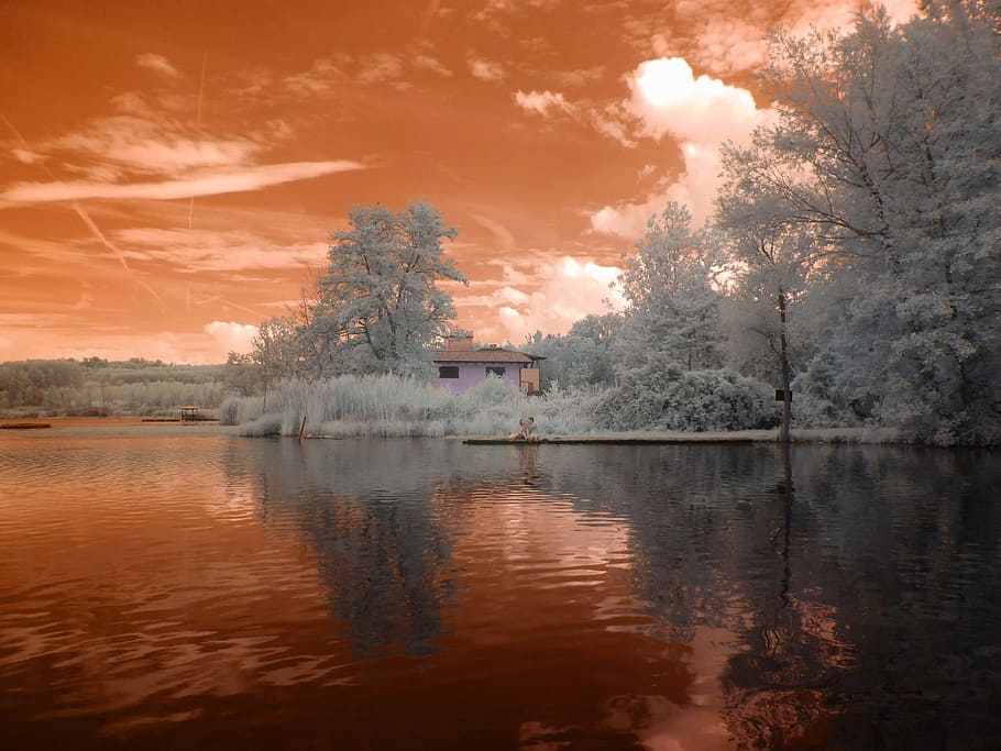 infrared, fantasia, landscape, tree, water, plant, lake, reflection, beauty in nature, sky