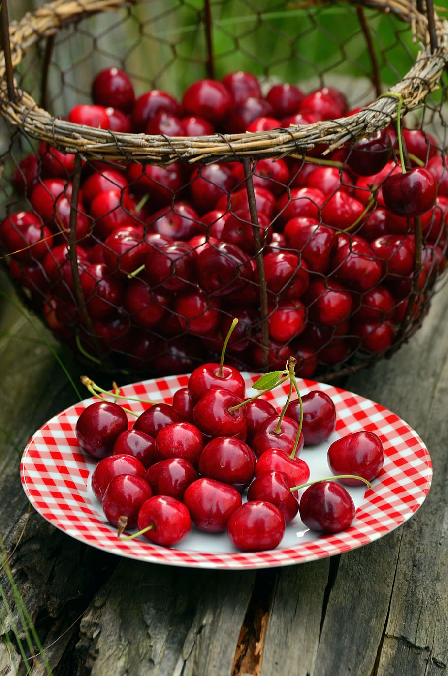 체리, 과일, 달콤한 체리, 체리 수확, 빨강, 정원, 여름, 바구니, 접시, 빨간