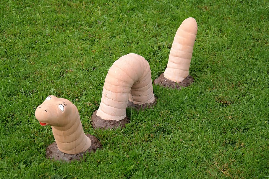 earthworm, snake, large, meadow, animal, sculpture, grass, representation, plant, field