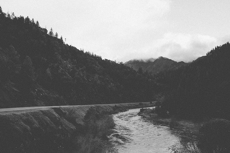 river, trees, grayscale, photography, body, water, hills, road, landscape, rural
