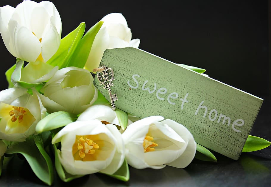 white, tulips, sweet, home text overlay, tulipa, shield, sweet home, key, keychain, keychains sweet home