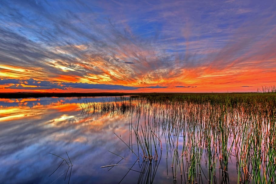 verde, césped, cuerpo, agua, puesta de sol, paisaje, cielo, vistoso, Everglades, pantano