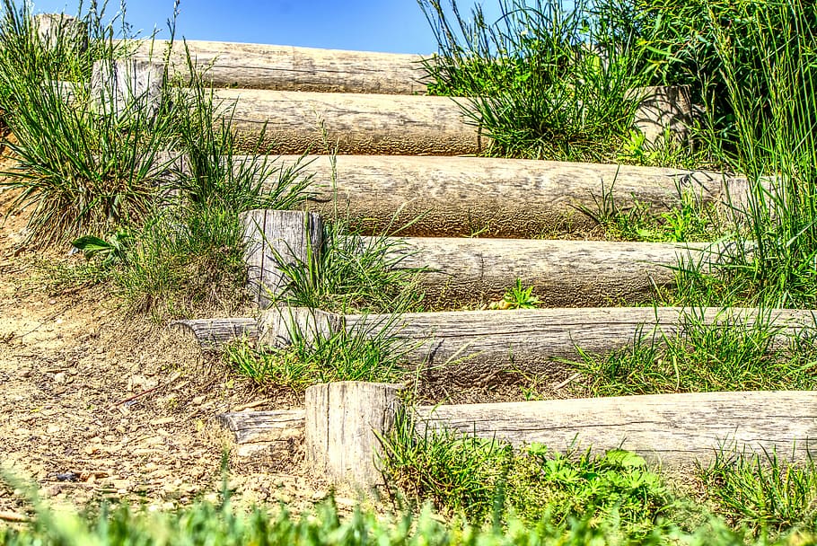 green, grass, stairs, wood stairs, top, sky, rise, dune, sea, playground