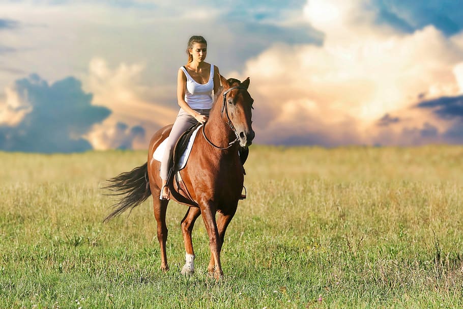 女性, 乗馬, 馬, 緑, 芝生フィールド, 昼間, 動物, 自然, 子馬, 干し草