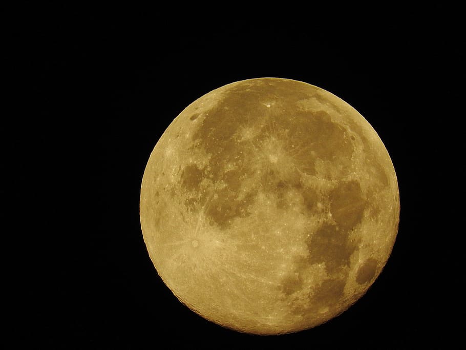 Full Moon, Close, moon, night, astronomy, gold colored, yellow, space, sky, nature