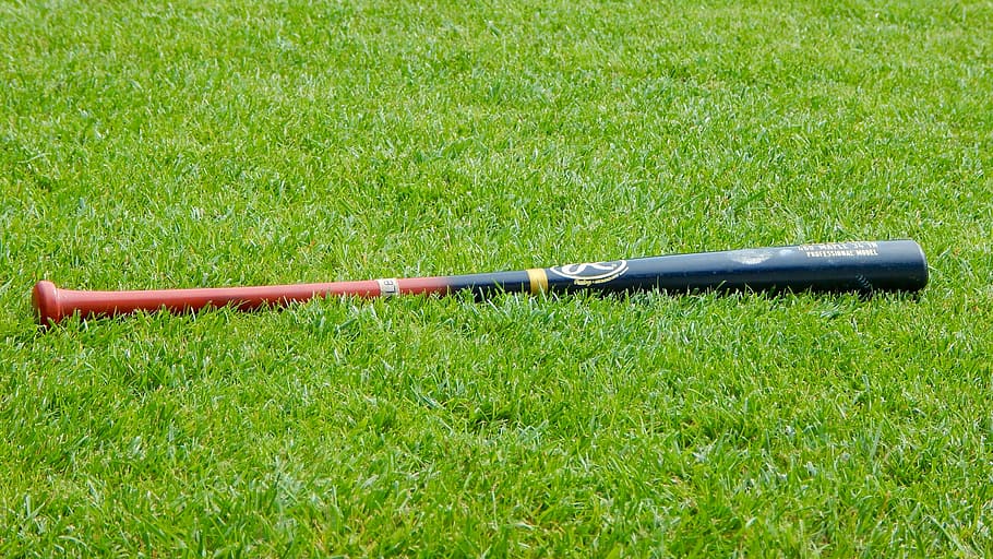 black, red, baseball bat, grass field, baseball, sport, prato, grass, green, nature