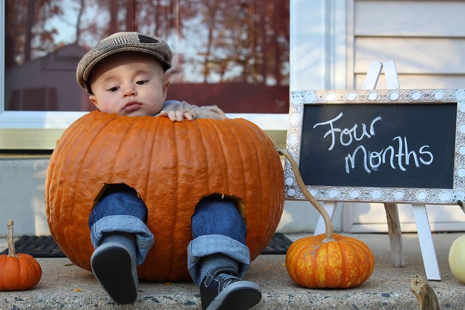 halloween, pumpkin, fall, child, thanksgiving, food and drink, food, childhood, day, text