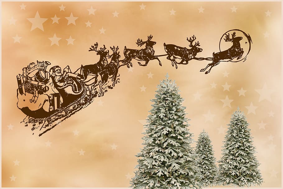 santa, riding, sleigh, flying, trees illustration, santa claus, christmas, christmas motif, figure, winter