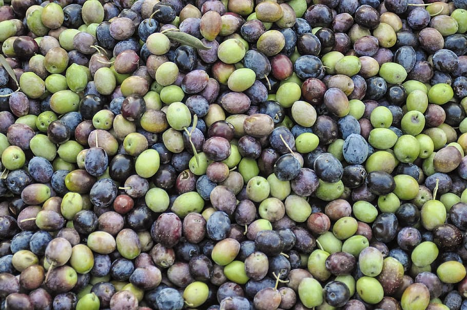 green, grey, fruits, olives, green olives, black olives, olive plantation, plantation, spain, omega