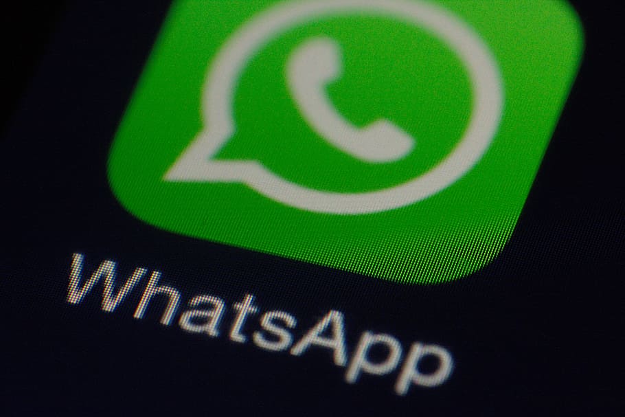 whatsapp logo, whatsapp, icon, app, communication, green color, text, technology, close-up, western script
