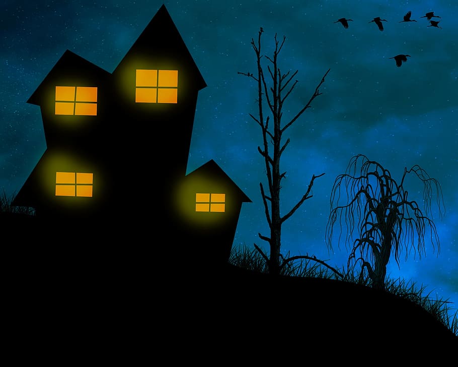 家, 夜, 不気味な, 幽霊のような, 神秘的な, ライト, 暗い, 恐怖, 夜の写真, 夜空