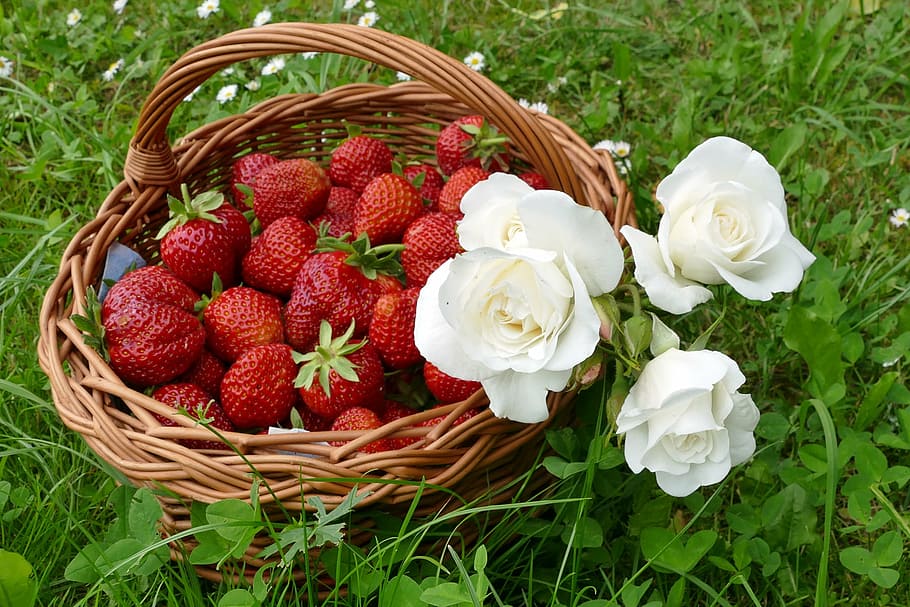 strawberries, white roses, willow basket, summer, fruits, flowers, meadow, basket, picnic basket, grass