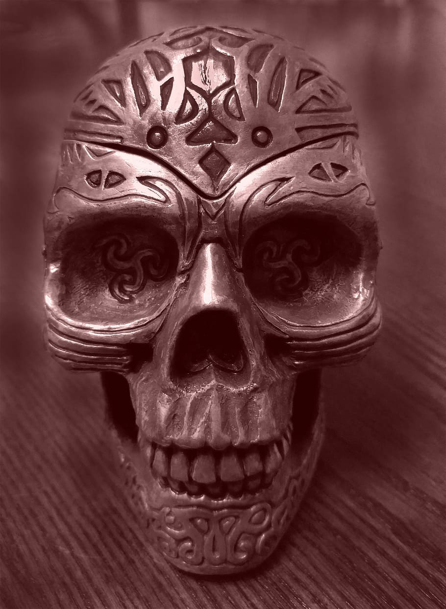 decoración del cráneo de plata, cráneo, decoración, halloween, escalofriante, sucio, miedo, horror, hueso, espeluznante