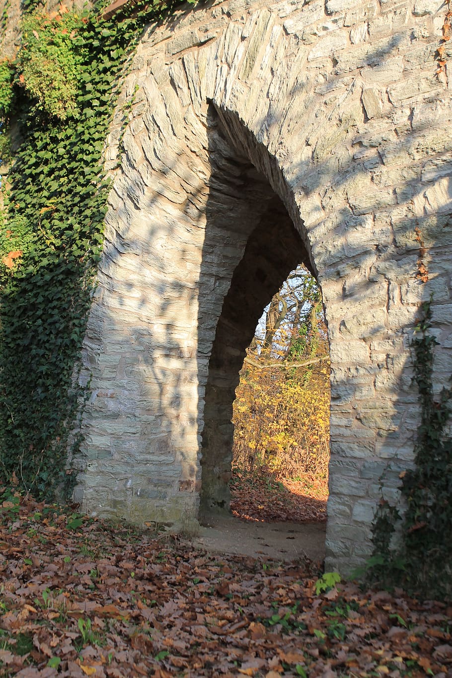arch, tower, goal, architecture, building, portal, input, historically, ivy, stone wall