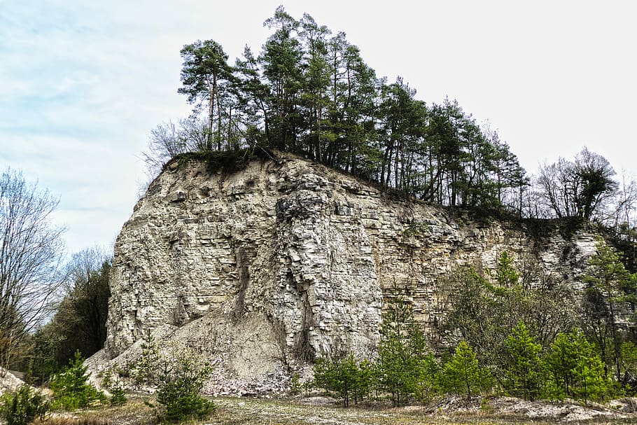 quarry, trees, rock, stone, schroff, overburden, scree, decay, limestone, weathered