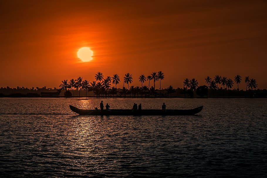 silhouette, canoe, sunset, kerala, aleppay, boat, fisherman, fishing, cochin, india