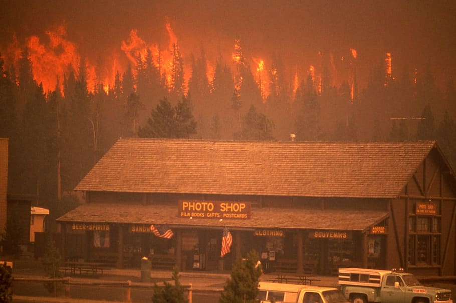 crown fire approaches, old, faithful, complex, 1988, Crown fire, Old Faithful, fire, forest fire, photos