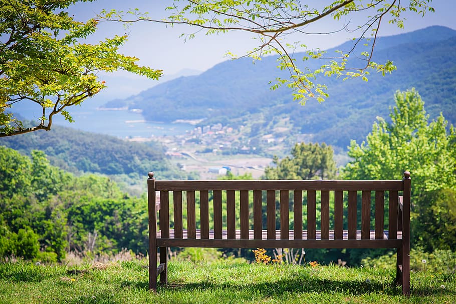 brown, wooden, slatted, green, trees, Tongyeong, Nature, Landscape, Bench, chair