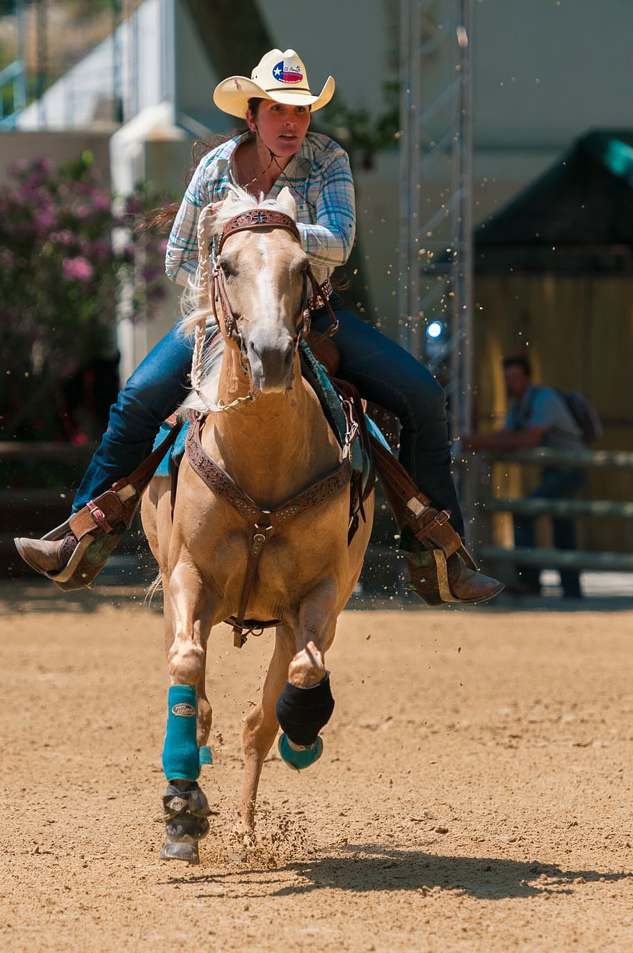 horse, contest, barrel, western, competition, cowboy, animal, riding, outdoors, horseback Riding